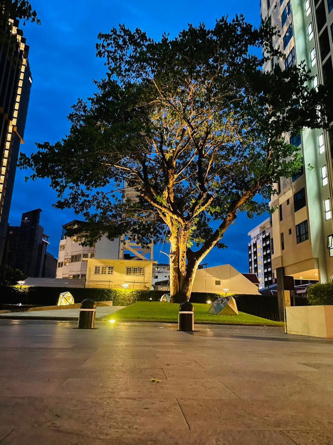 The Base 529 By Numam Apartemen Pattaya